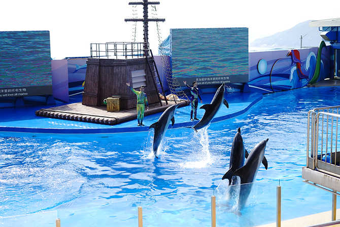 带着微单去旅行 2014年春节港澳5日游 - 香港\/