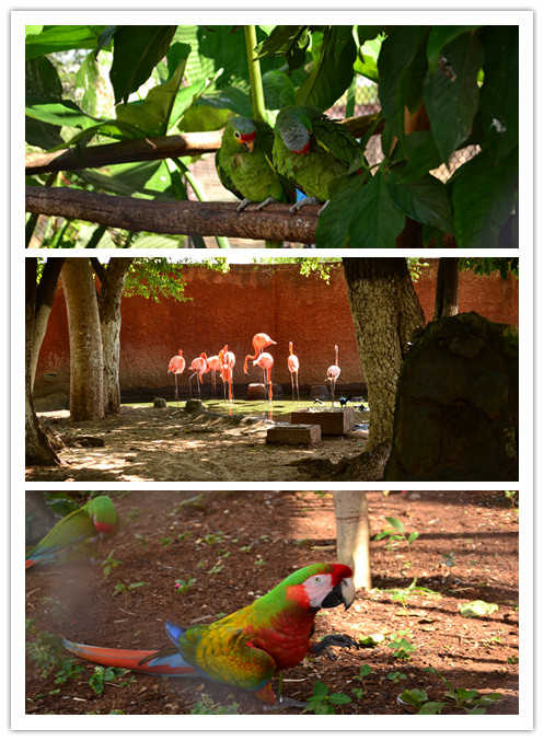 迟到的墨西哥 - 拉丁美洲\/南极 - 论坛 - 穷游网移