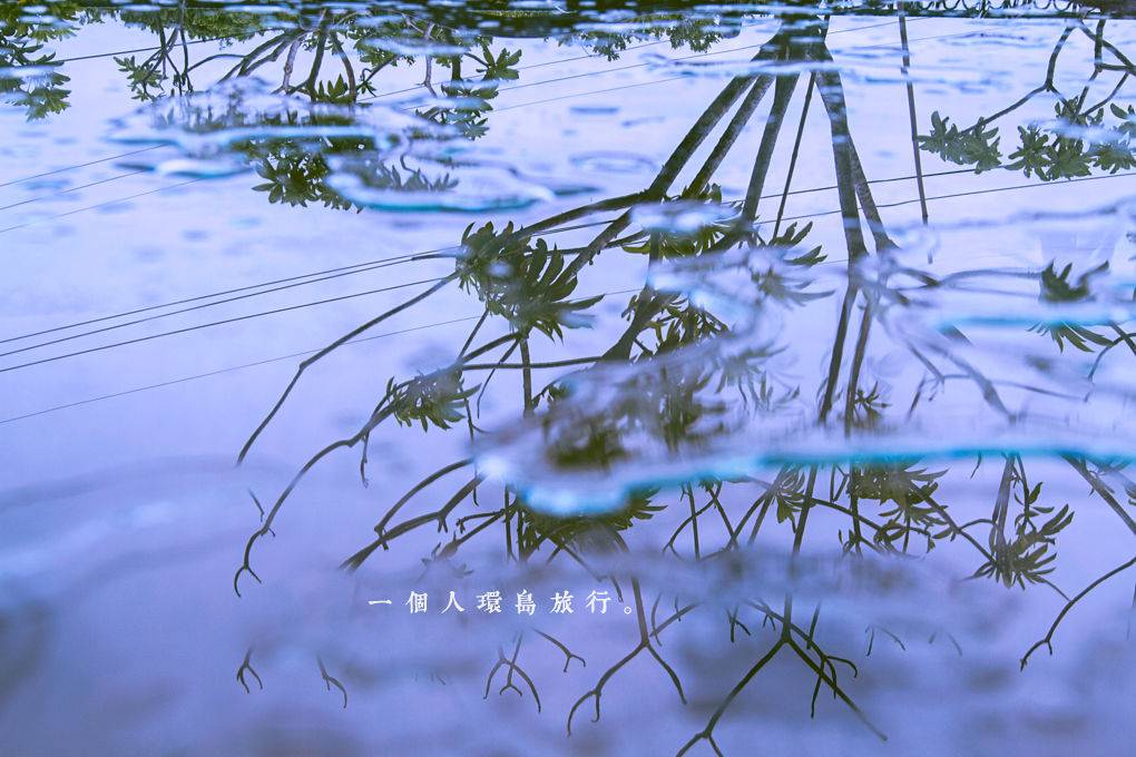 一个人环岛旅行(<em>陈家迷妹</em>16天环岛寻找五月天