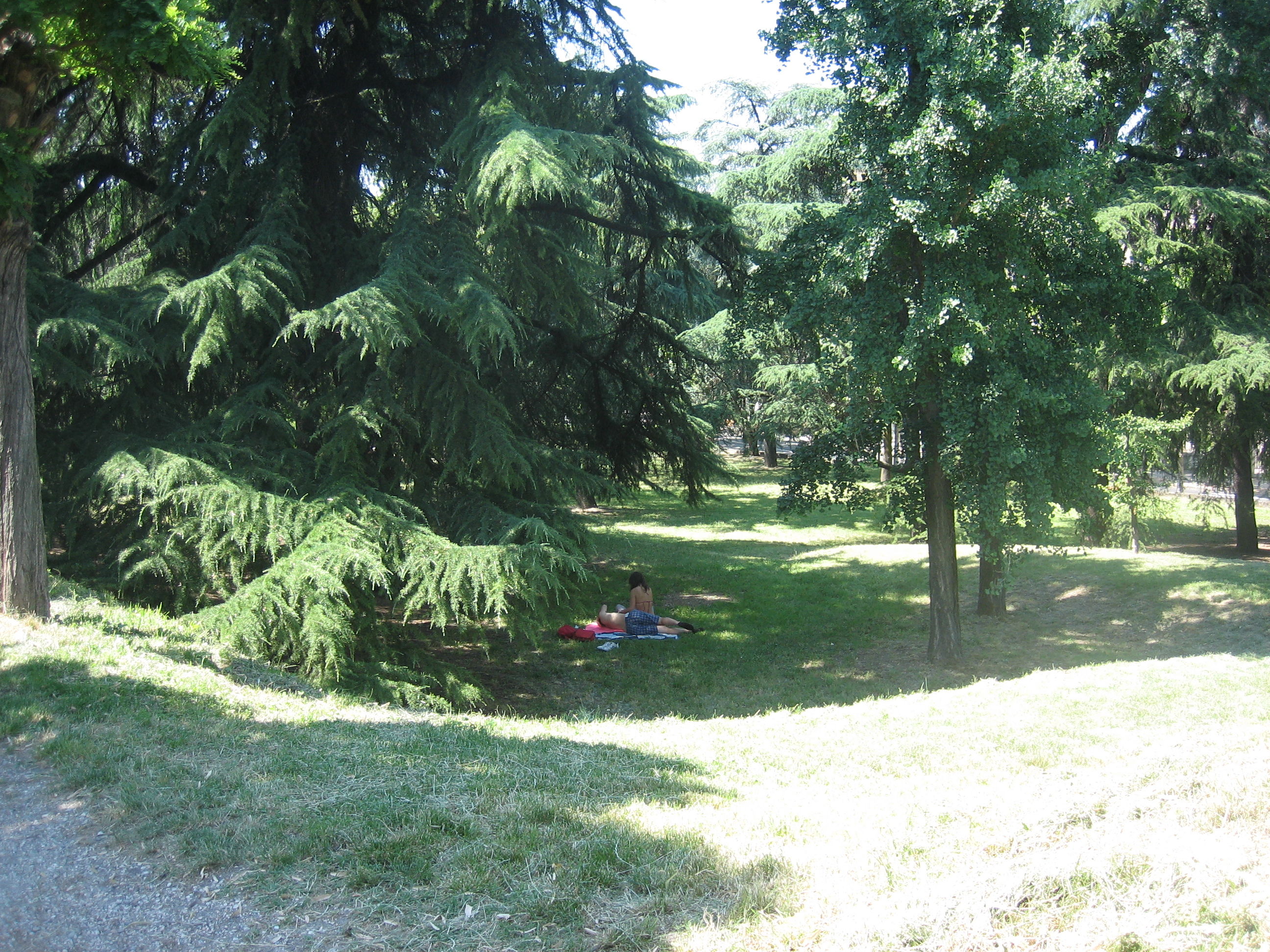 节俭的背包客的微游记_VERONA_7081779