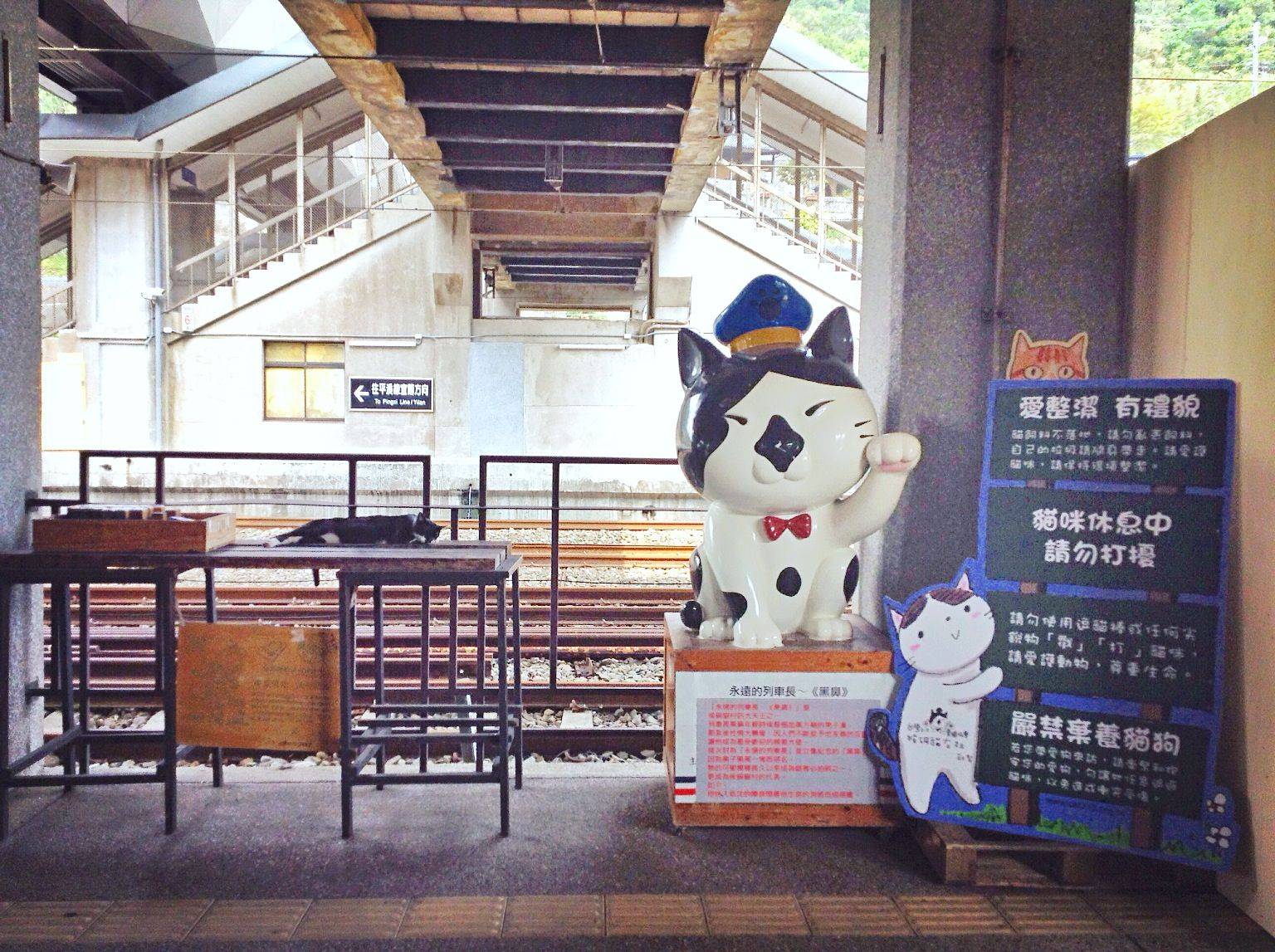 一个人环岛旅行(<em>陈家迷妹</em>16天环岛寻找五月天