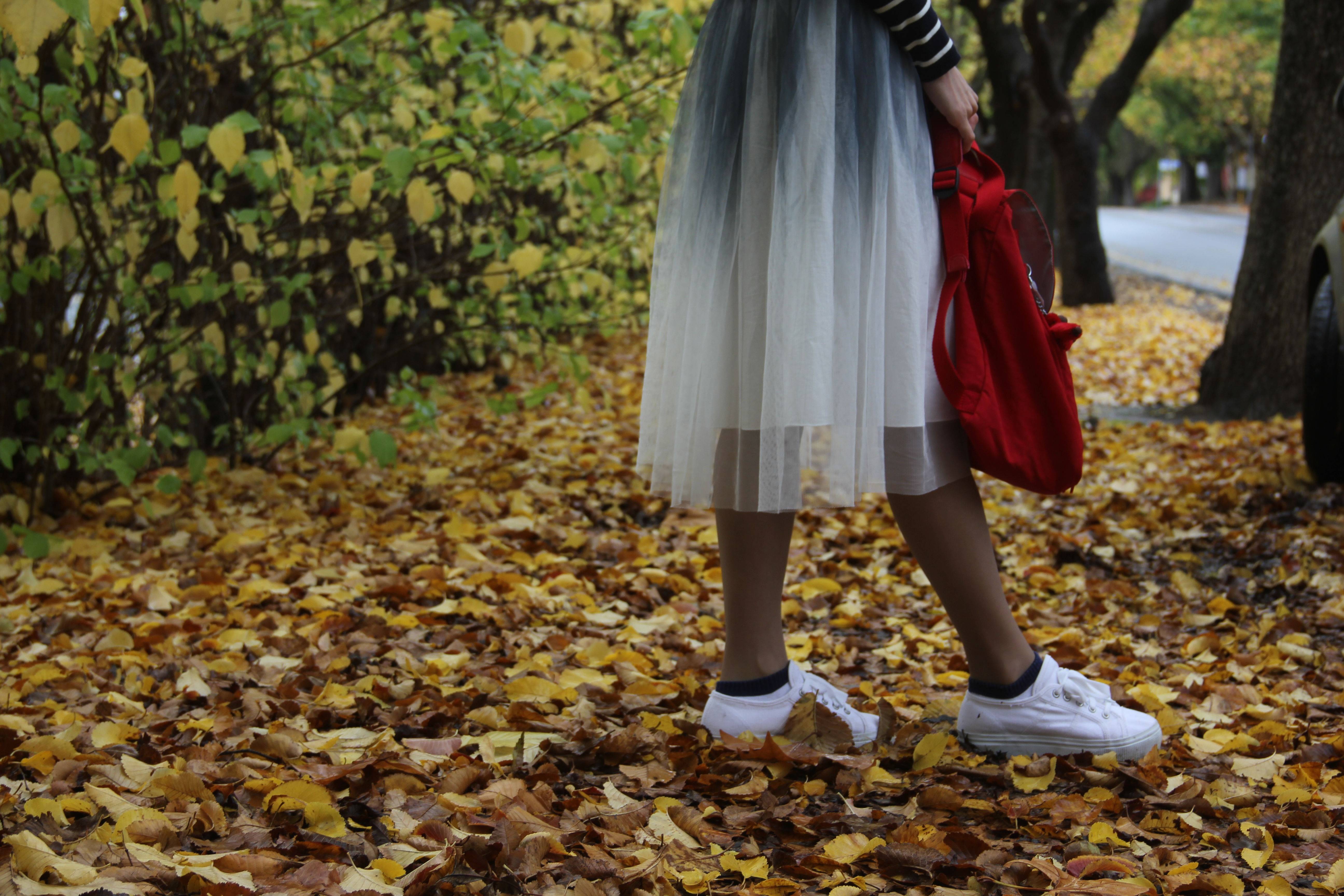 流放之地,南澳执行(下) - 澳大利亚