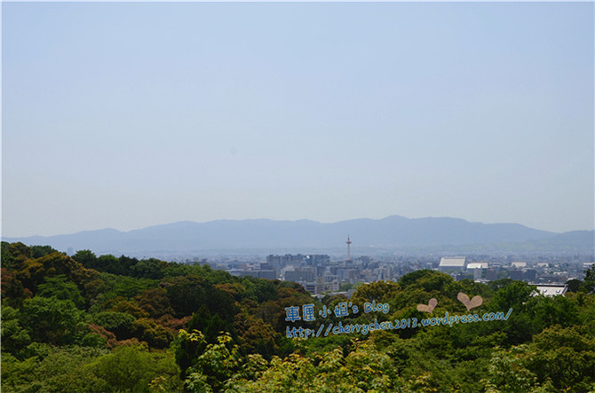 大阪自助游图片