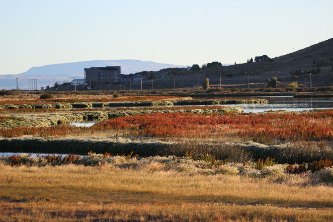2014年2月南极游攻略分享 - 拉丁美洲\/南极