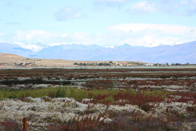 2014年2月南极游攻略分享 - 拉丁美洲\/南极