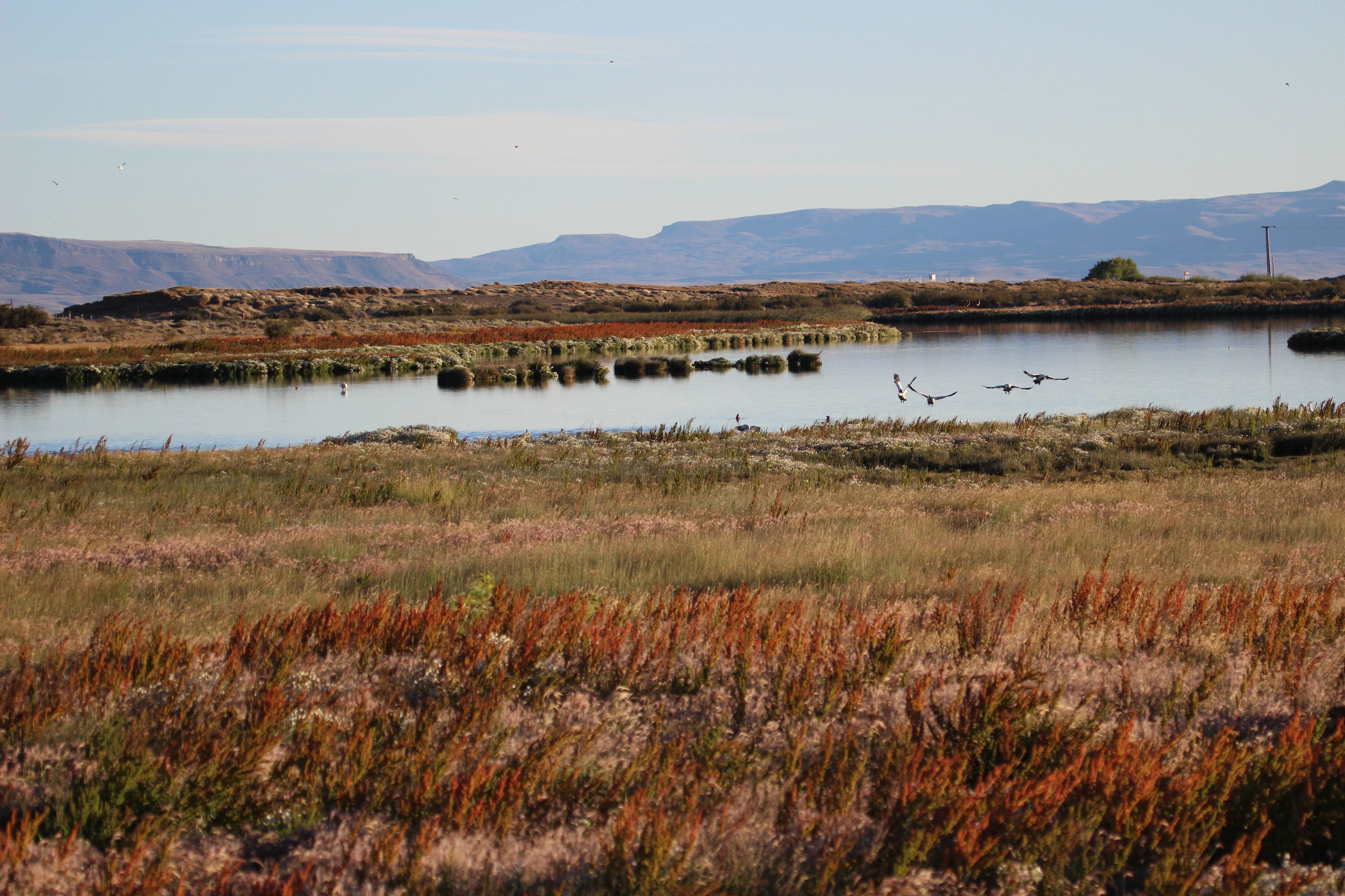 2014年2月南极游攻略分享 - 南美\/南极