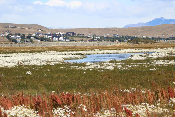 2014年2月南极游攻略分享 - 拉丁美洲\/南极