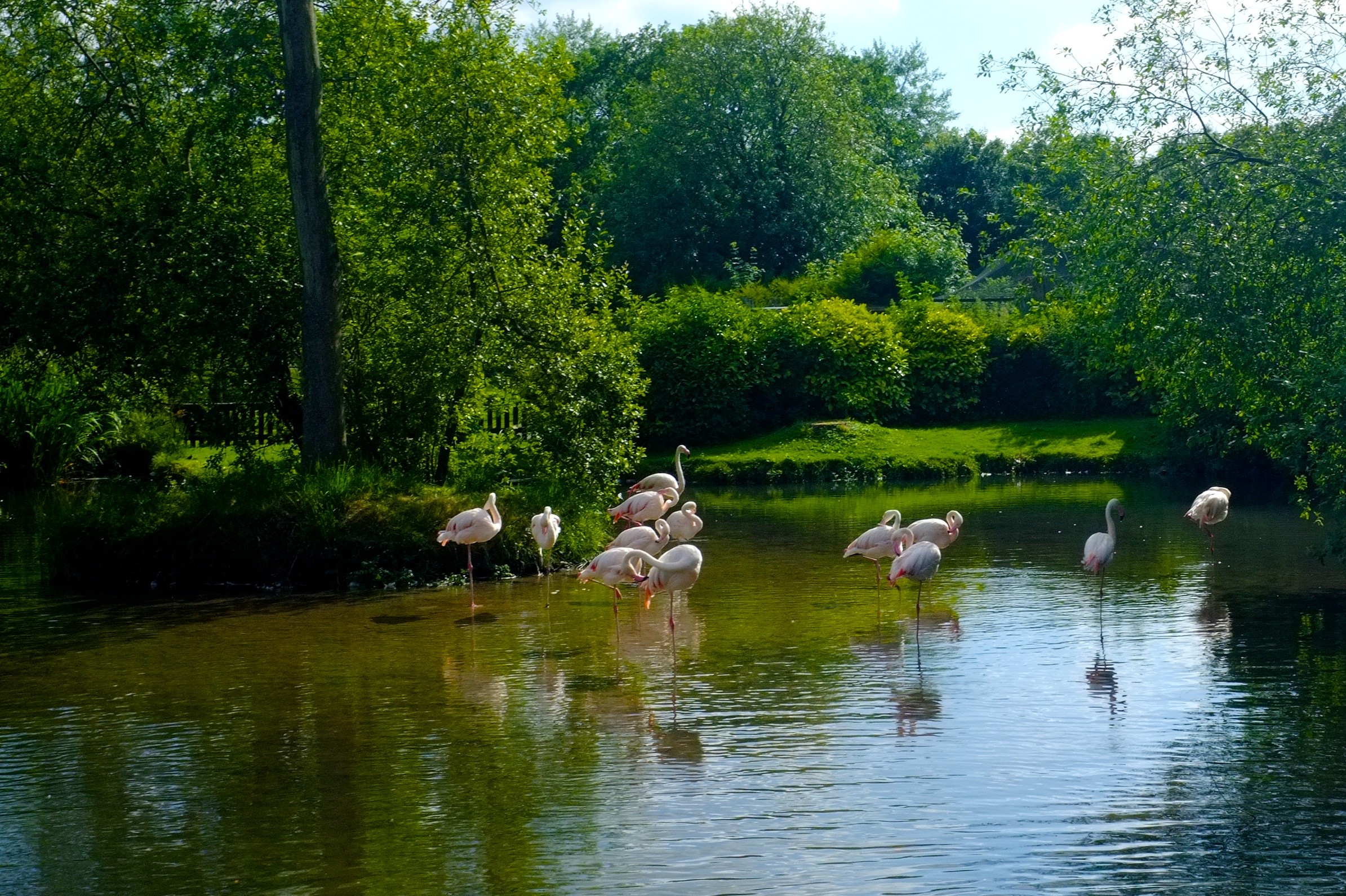 四位少女Escape to the Cotswolds---Bourton-on