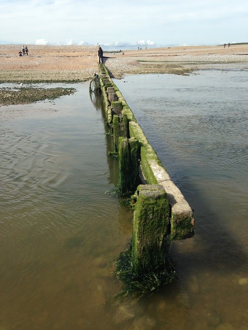 <em>七姐妹国家公园</em> - 英国/爱尔兰 - 论坛 - 穷游网