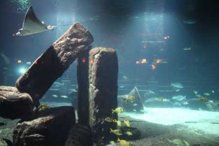 游走中美洲休斯敦、坎昆、圣多明各、哈瓦那、