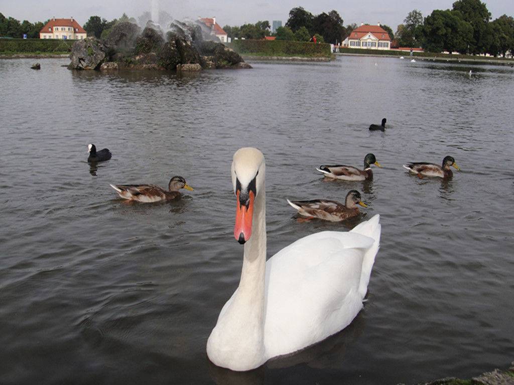 2013年初秋南部德国自驾游 ~ 有免费停车 Tips