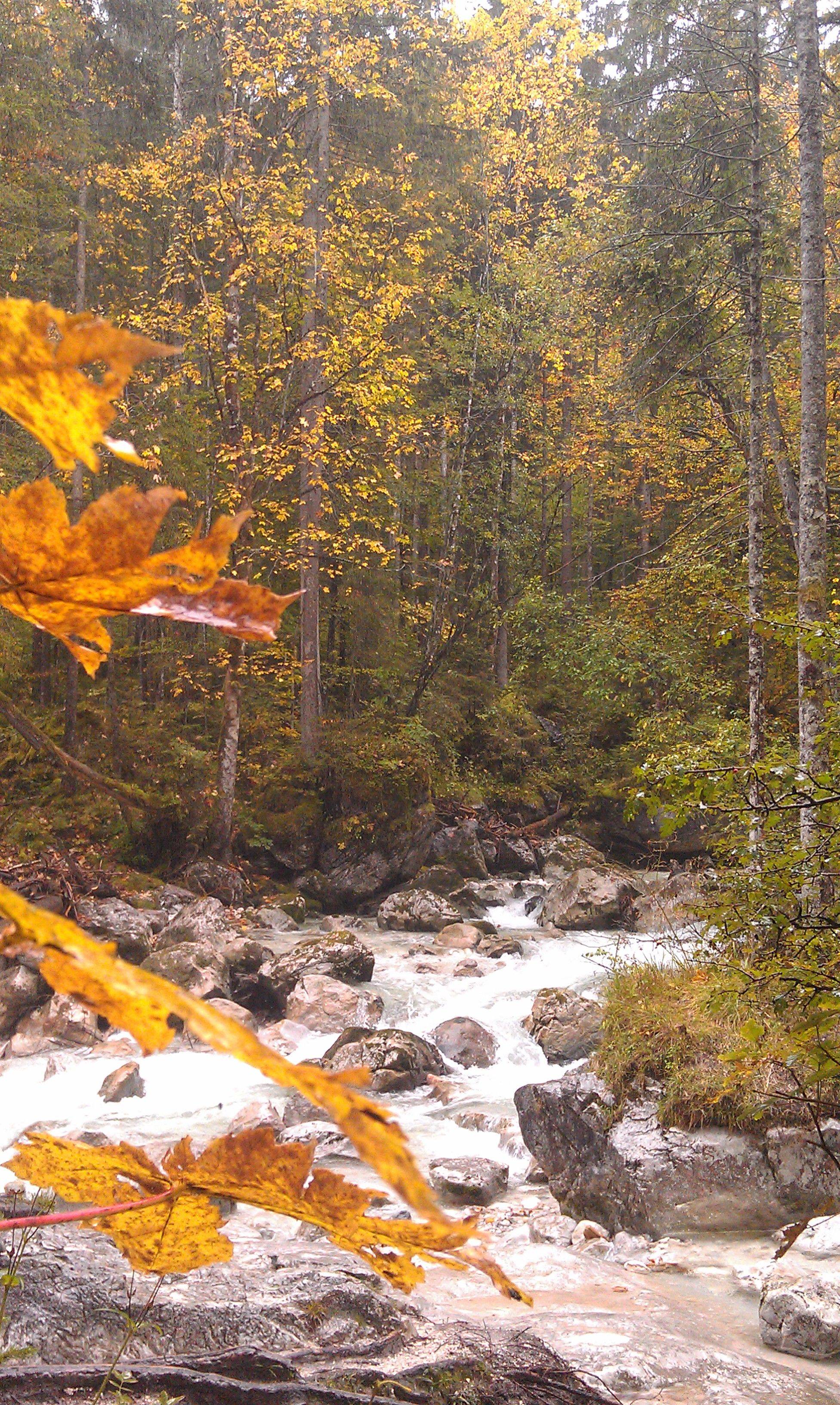 2013年初秋南部德国自驾游 ~ 有免费停车 Tips