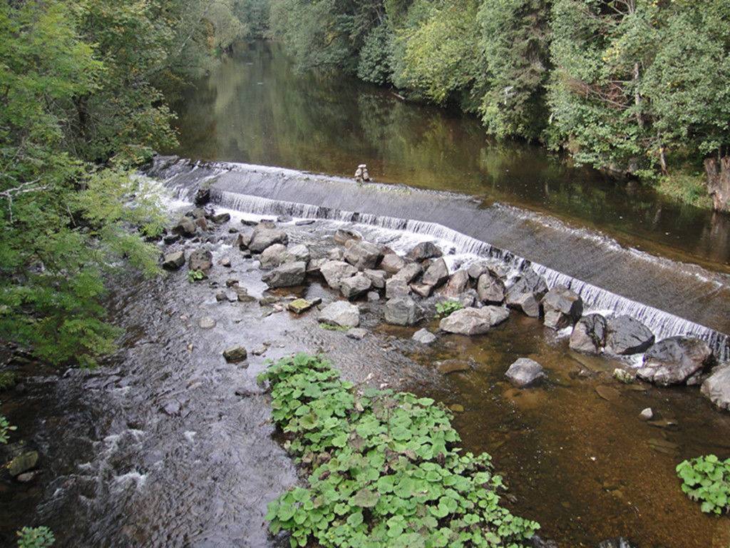 2013年初秋南部德国自驾游 ~ 有免费停车 Tips