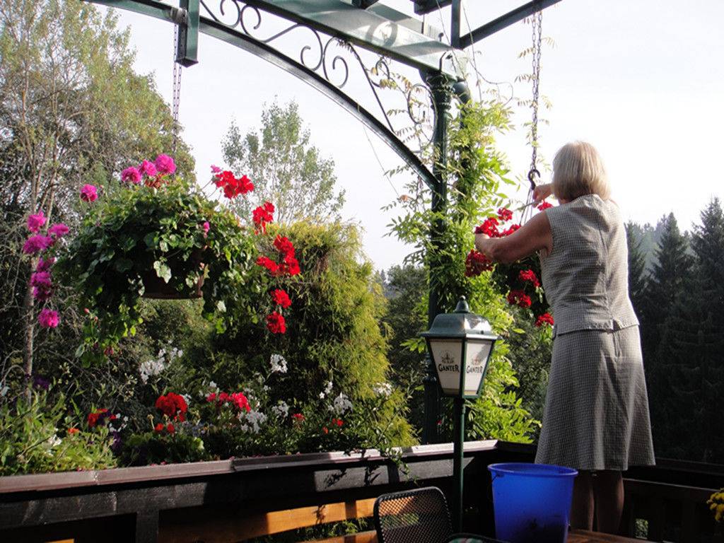 2013年初秋南部德国自驾游 ~ 有免费停车 Tips