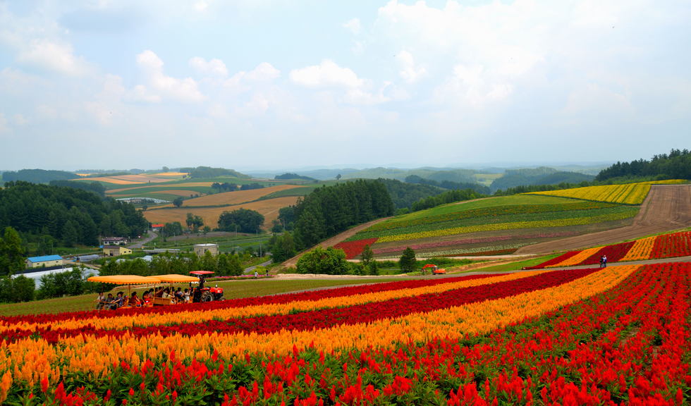 从函馆到东京,夜未央(完结。2个月时间汇率已
