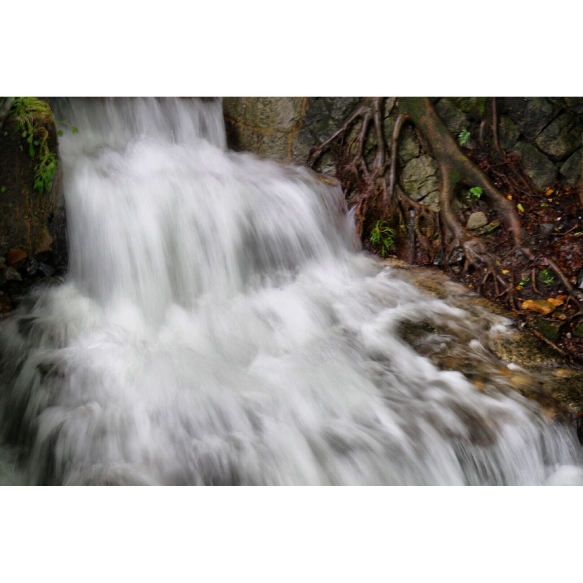 caolei5353的微游记_Lost in Transla_8258786