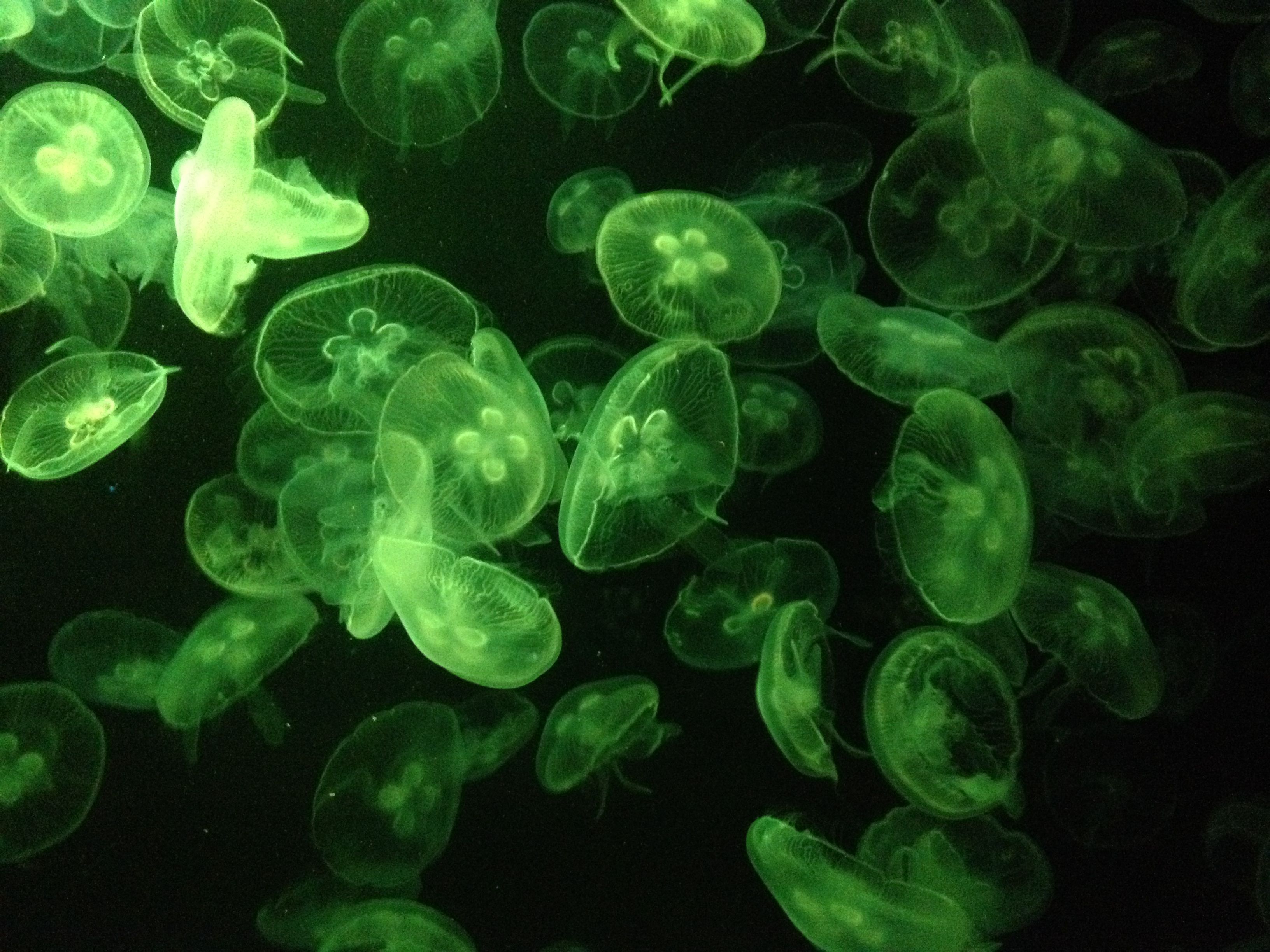 叶口十_xYz的微游记_香港_8355801_穷游网