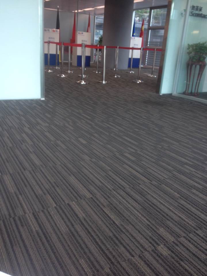 2014瑞士签证 访友签 攻略 2个工作日顺利签出