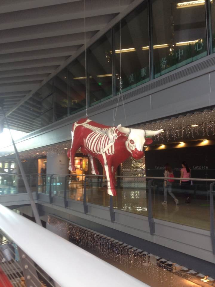 2014瑞士签证 访友签 攻略 2个工作日顺利签出