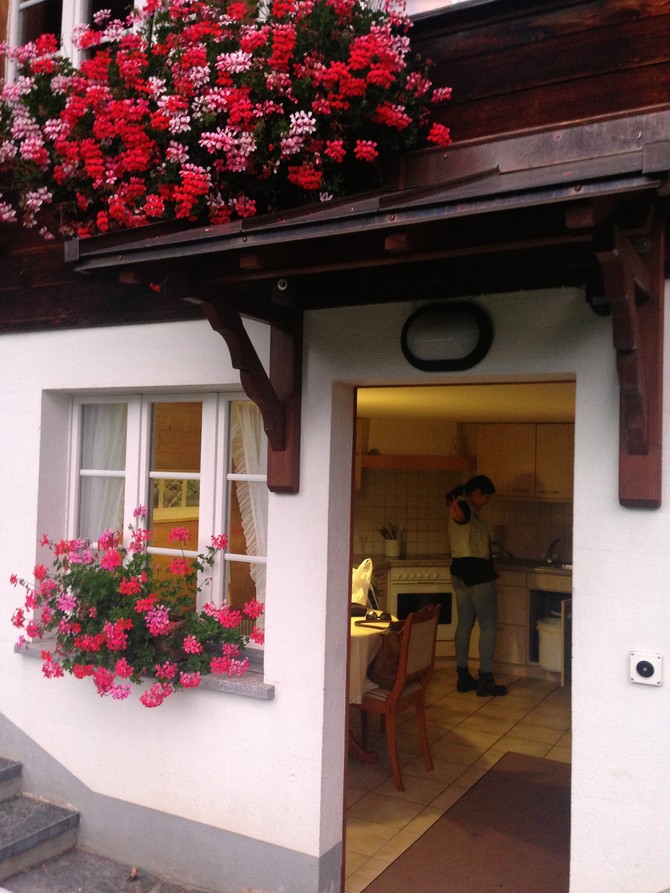 推荐瑞士少女峰地区grindelwald小镇住宿 - 瑞士