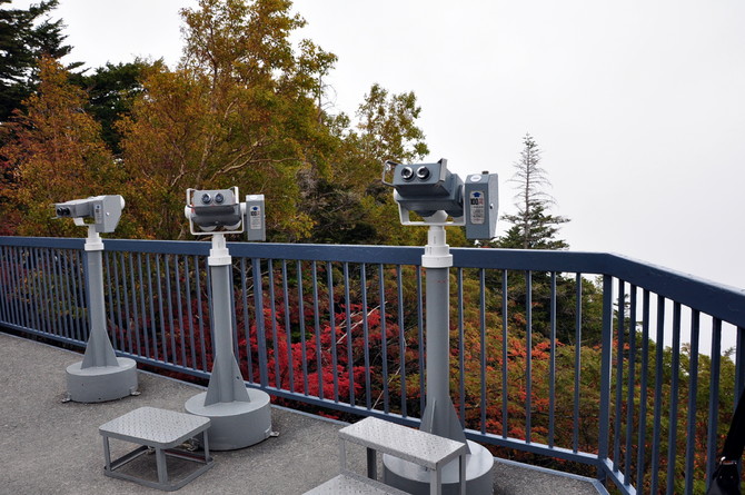 母女二人の东瀛初秋--第一次带妈妈出国游(完工