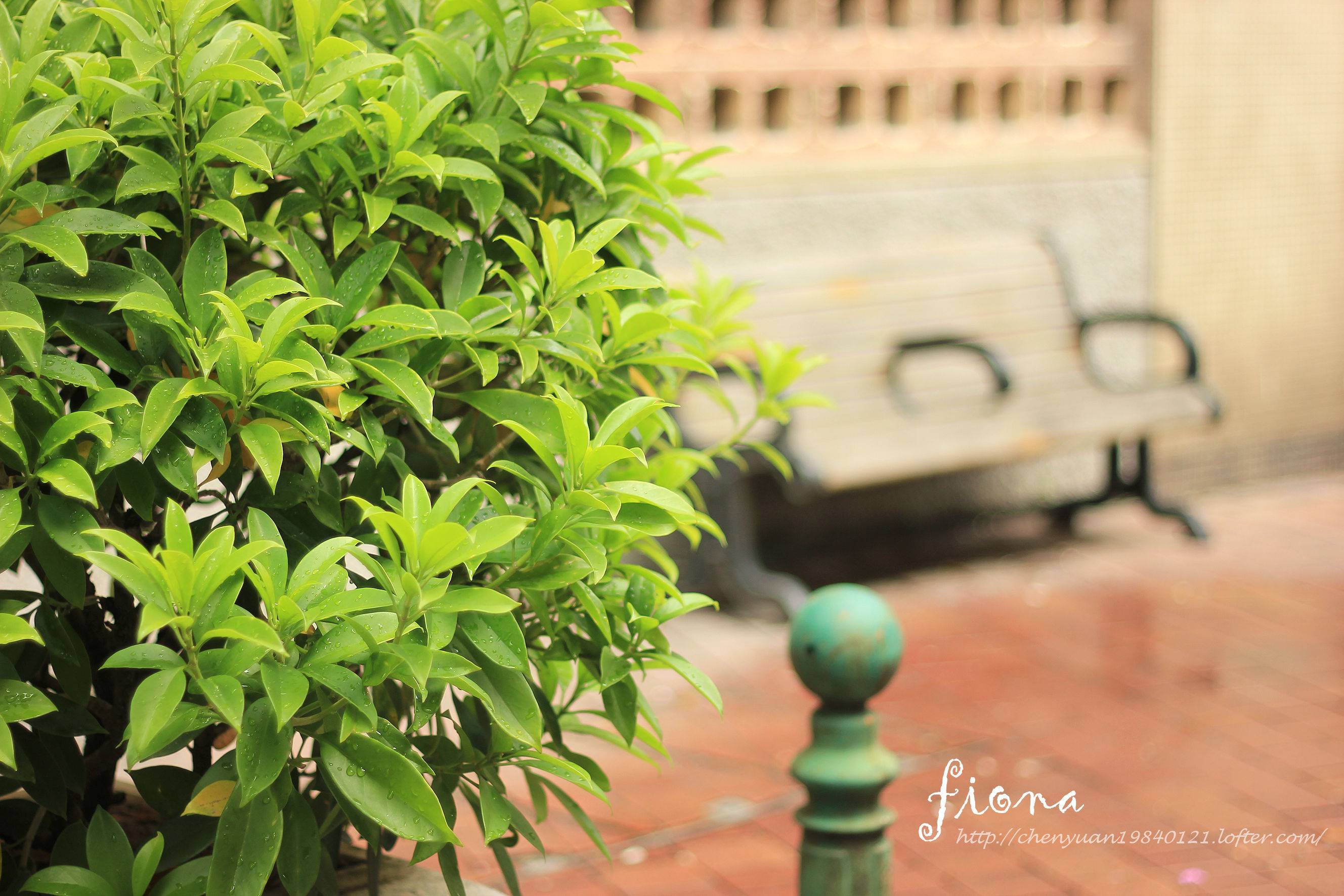 夏末的葡味假期--澳门暴走自由行 - 香港\/澳门