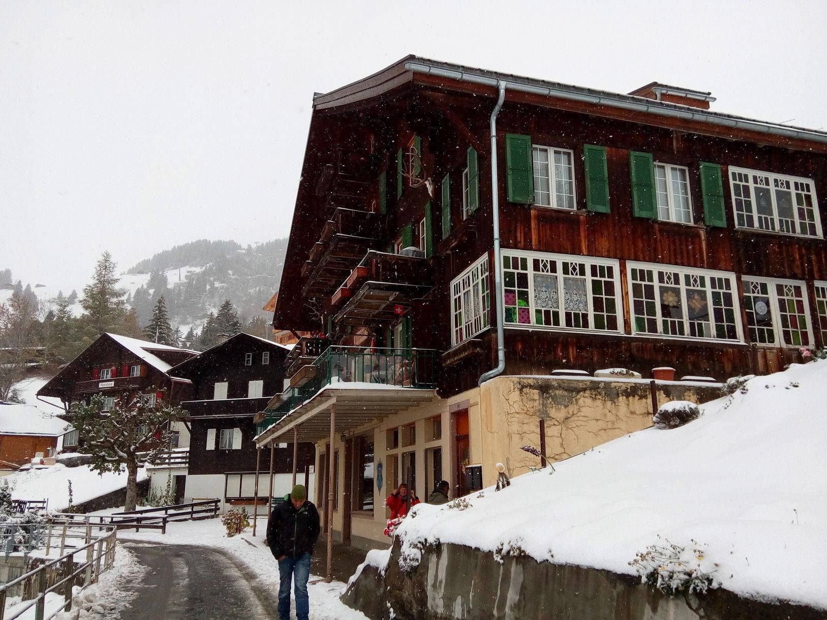 人一个包的瑞士独行记(如何选择swiss pass以