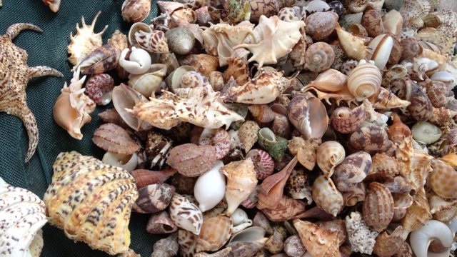 行程景点:北方避暑度假:青岛旅游一票通详情_