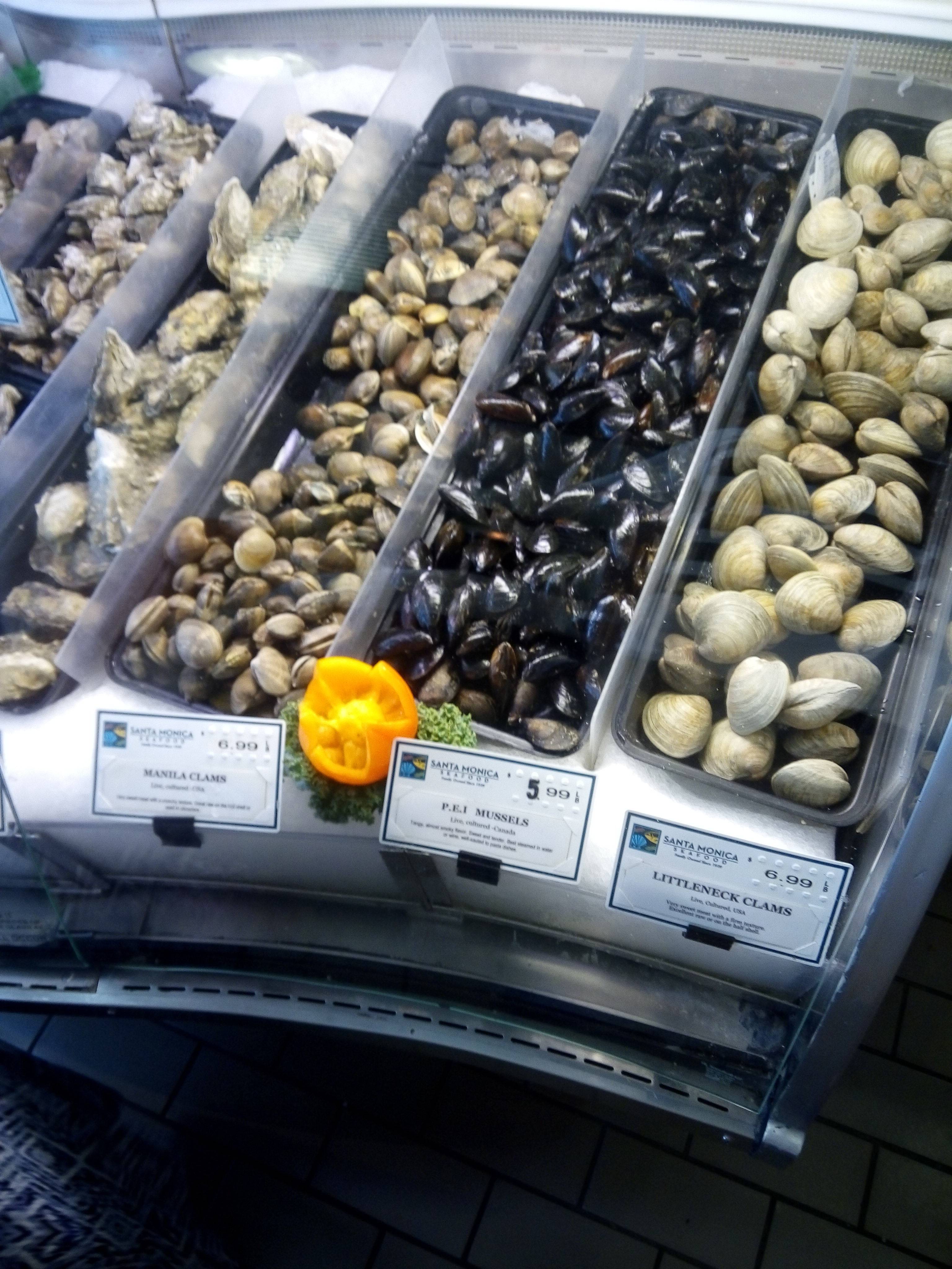 第一次亲密接触--2014年国庆美西、美东五城1