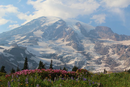 西雅图雷尼尔山国家公园与温哥华维多利亚港选