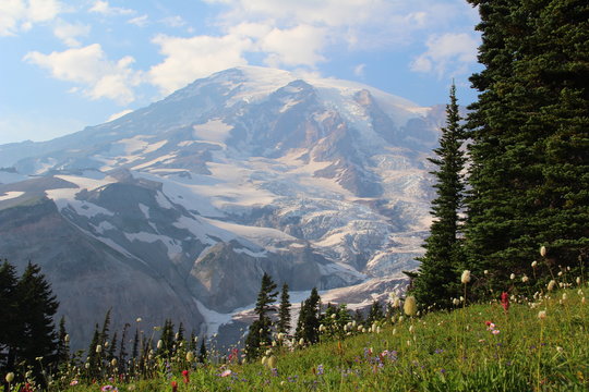 西雅图雷尼尔山国家公园与温哥华维多利亚港选