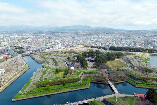 5月中旬的北海道能看到什么 樱花 貌似twinkle Bus 也不开的 穷游问答