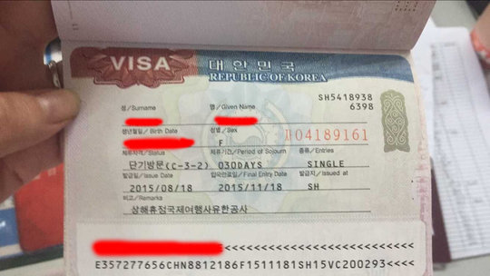 这个韩国签证是个签还是团签?