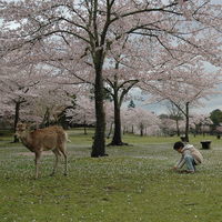 2010年8月上海秘鲁个人旅游签证全过程
