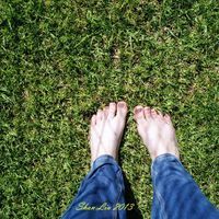 从佛罗伦萨乘车去米兰. -KAIZHANGKZ对佛罗伦