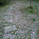 【全国受理】英国个人旅游签证_特价签证预订