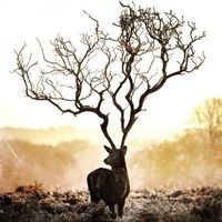 请问下,美签在没有使用过的情况下,可以直接入