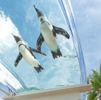 【上海领区】韩国个人旅游签证(拒签全退,可选