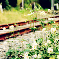 [春节]上海\/杭州\/无锡直飞香港3-5天往返含税机