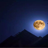 新西兰个人旅游\/探亲\/商务签证