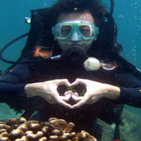 新西兰一签拒签,二签电子签通过5年多次