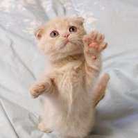 【申根签证】我想去德国探亲和访友,可是私人