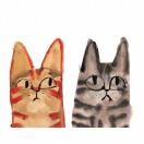 北京奥地利签证中心,48小时出签,全程无电调、