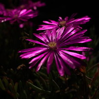 【可免费预约】圣母百花大教堂景点套票(免排