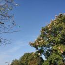 经历及提交材料,内附解释信+催签信】加拿大签