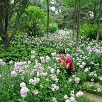 申根拒签申诉,3天后申诉成功,希望对大家有些