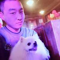 强子vip