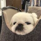 关于西班牙马德里机场T4航站楼退税问题