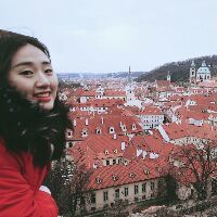 女学生 白本 荷兰旅游签证 重庆匈牙利领事馆代