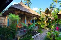 巴厘岛德乌马传统生态旅馆